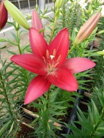 [5074 Bourbon Street No02.JPG]